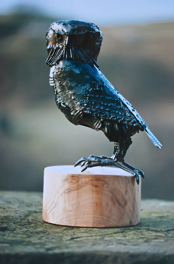 Little Owl - Mild steel 1994. Private collection